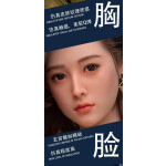 Apricots C cup busty sex doll Real hair transplant, voice, standingNO34-147